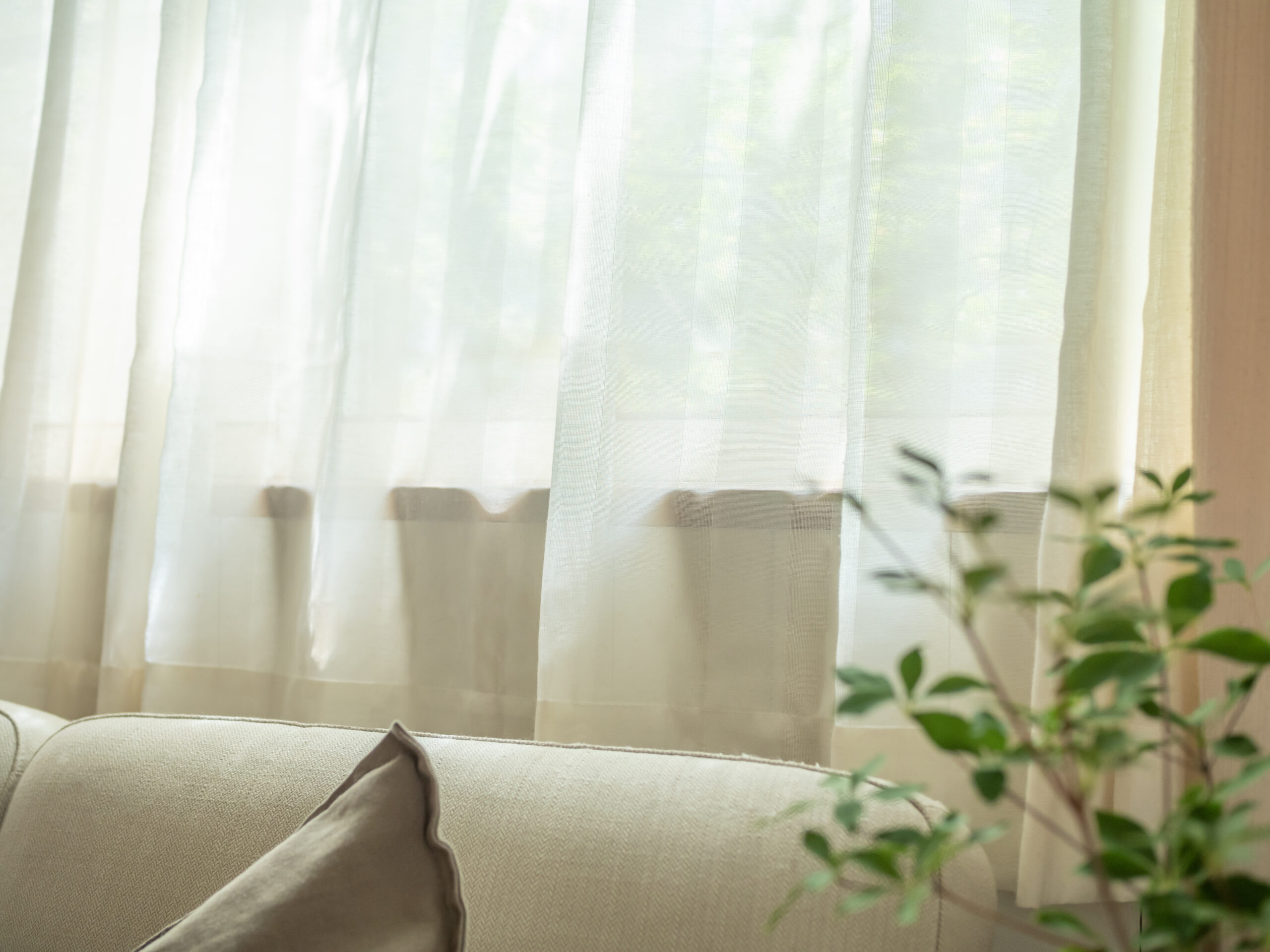 まとめ：婚活は「執着の分散」で自然体になれた人が勝つ