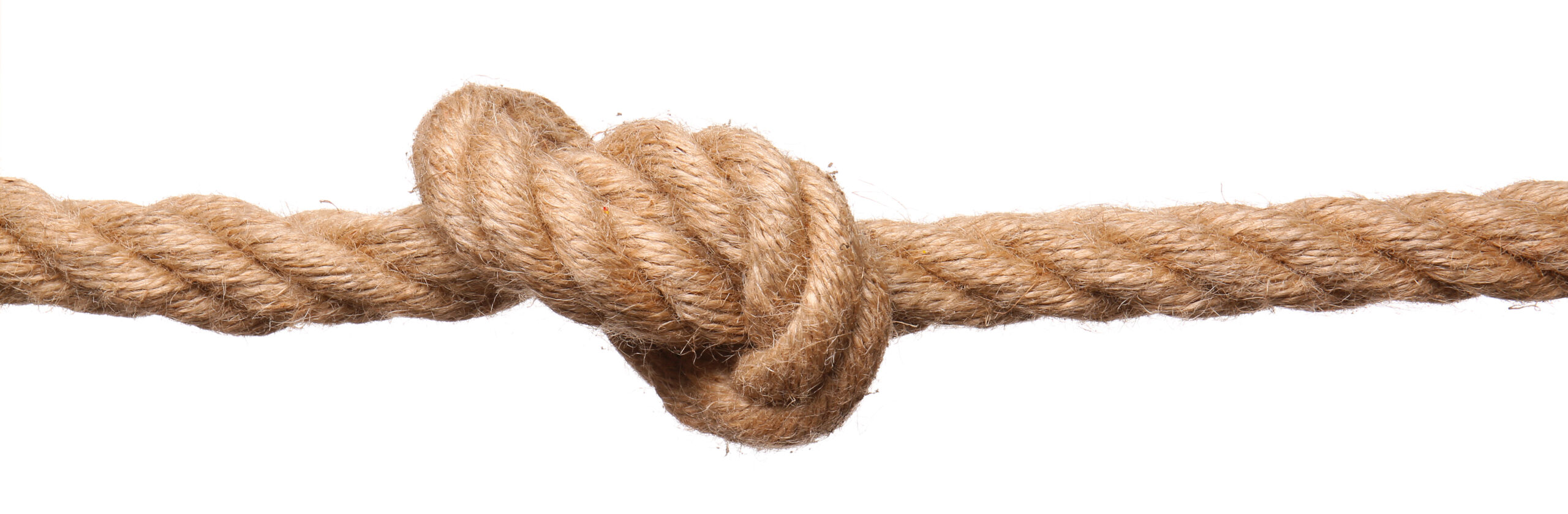 結婚の本当の価値は”孤立を防ぐシステム”にある